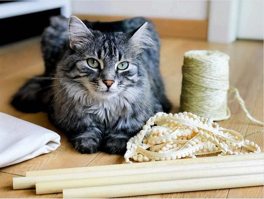 Különféle dolgok és anyagok felhasználhatók a macskaház elkészítésére és díszítésére.