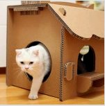 DIY macskaház: hangulatos hely létrehozásának módjai