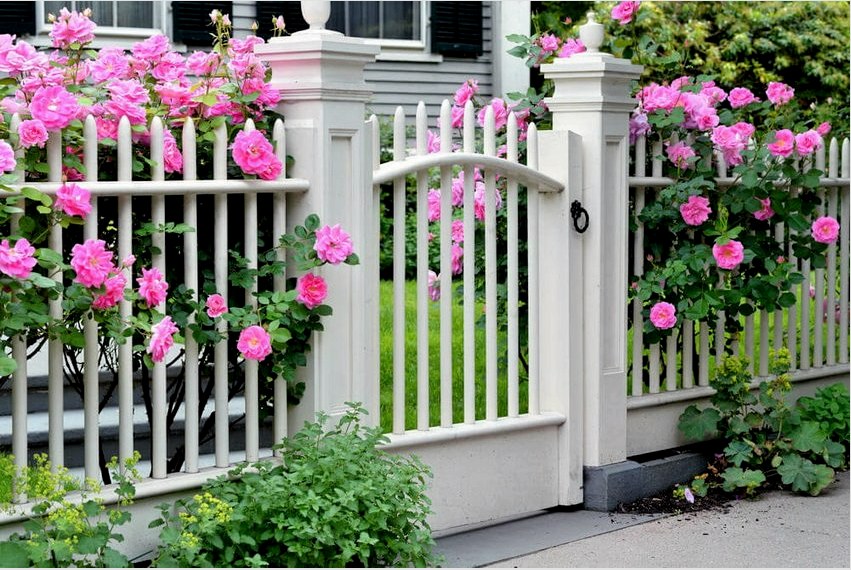 Egy fehér, réselt kerítés rendkívül előnyösnek tűnik egy virágoskerttel kombinálva