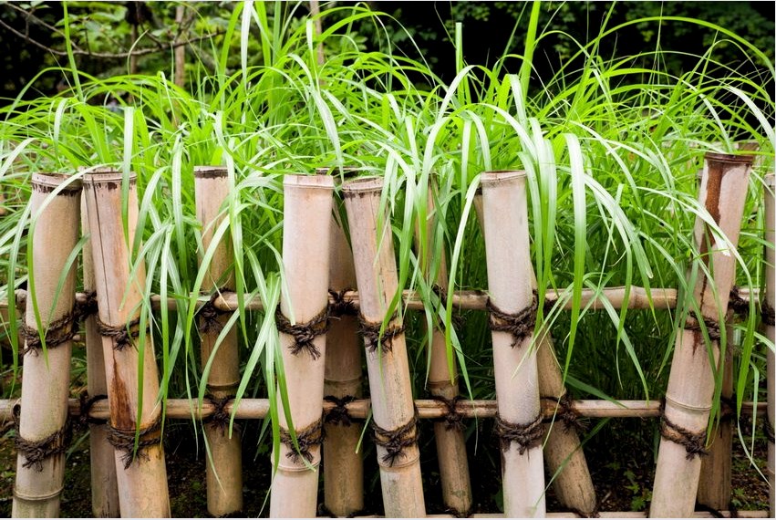 Példa a bambusz felhasználására virágágyás kerítés létrehozásához