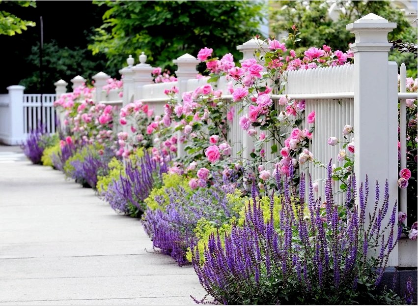 A dekoratív fehér kerítés hangsúlyozza a festői virágoskert szépségét