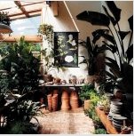 Téli kert magánházban és apartmanban: ajánlások a létrehozáshoz és karbantartáshoz