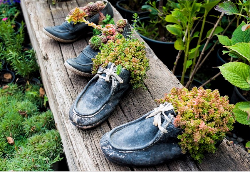 A régi cipők továbbra is virágcserepekként szolgálhatnak és díszítik az oldalt