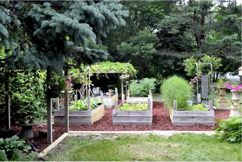 A speciálisan felszerelt ágyak lehetővé teszik a zöldségek és zöld növények termesztésére szánt terület optimalizálását