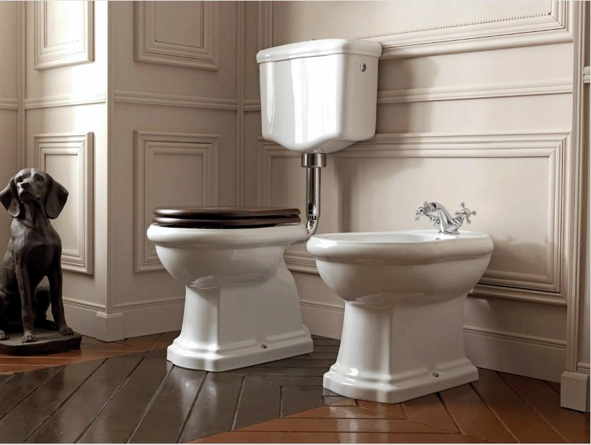 A WC-csész az emberi higiénia kötelező tárgya, a modern civilizáció egyik fő különbségének tekinthető.
