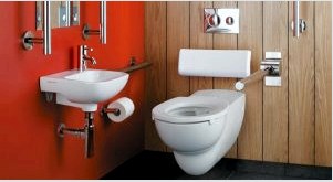 Hogyan válasszunk WC-t: a különféle modellek kritériumai és jellemzői