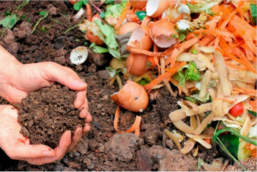 A komposzt használatával természetesen gazdagíthatja a földterületet a helyszínen, ezáltal növelve a termés mennyiségét és minőségét