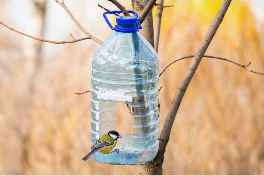 Egy műanyag palackban kívánatos több ajtónyílás készítése a madarak mozgatásának kényelme érdekében