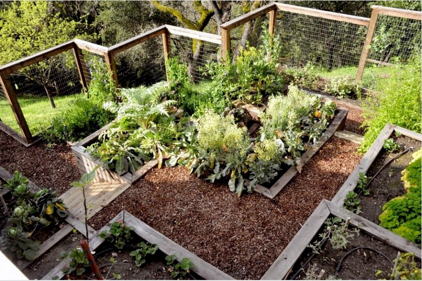 A meredek lejtő nem akadálya a kényelmes kertnek, ha lépcsők formájában ágyakat épít
