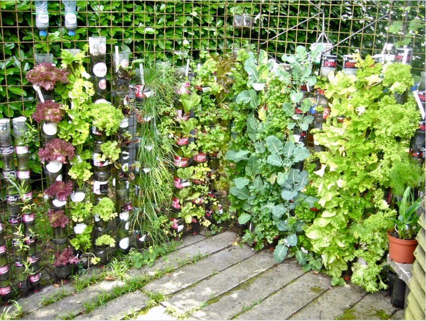 Helytakarékosság érdekében függőleges ágyakat ültethet és üvegekbe vagy csövekbe ültetheti a növényeket