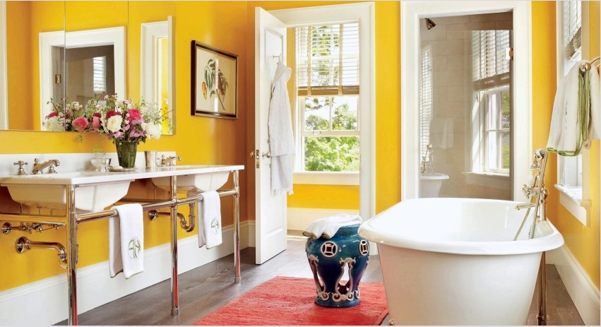 Festék a fürdőszobához: hogyan válasszuk ki a legjobb lehetőséget a dekorációhoz