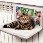 Csináld magad macska ágyak: hogyan felszerelhetsz egy helyet egy háziállat számára