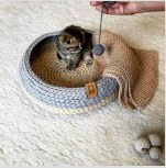 Csináld magad macska ágyak: hogyan felszerelhetsz egy helyet egy háziállat számára