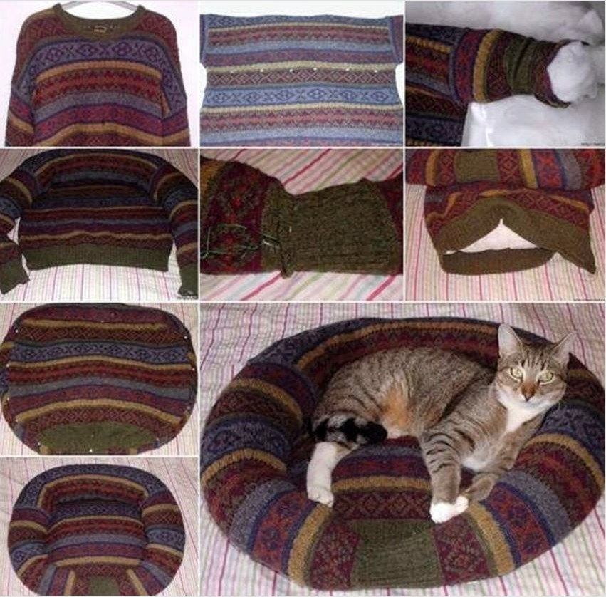 Lépésről lépésre leírja, hogyan lehet egy macskot varrni egy sajttorta pulóverből egy macska számára