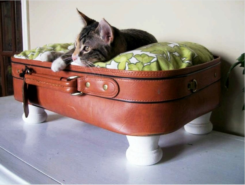 Vágja le a bőrönd fedelét, hogy a háziállat ne sérüljön meg, ha bezáródik