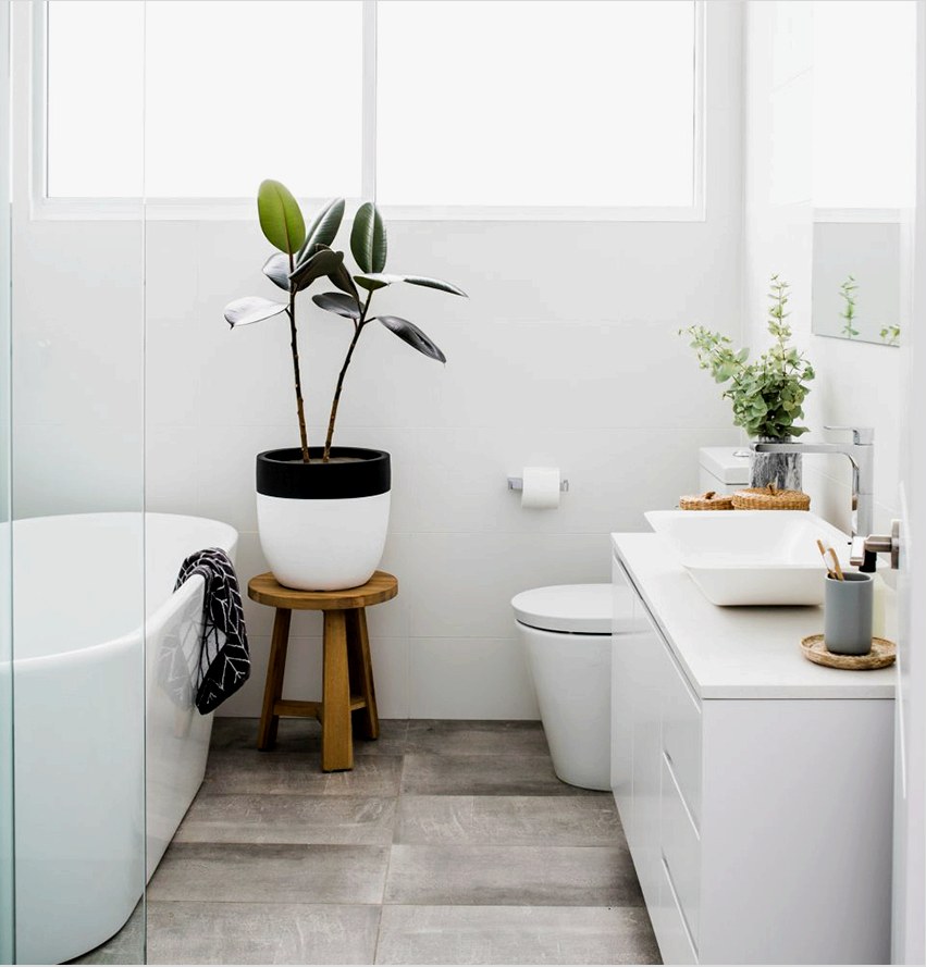 Zöld növények cserépben - a legjobb dekoráció egy skandináv fürdőhöz