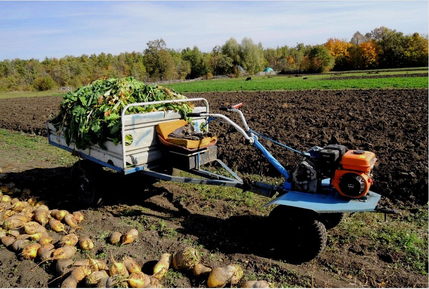 A mini traktor kényelmes nagy területek betakarításához