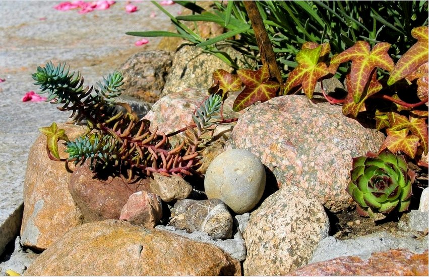 Dekoratív vonzerő - fontos kritérium a kövek kiválasztásakor a sziklakertek számára