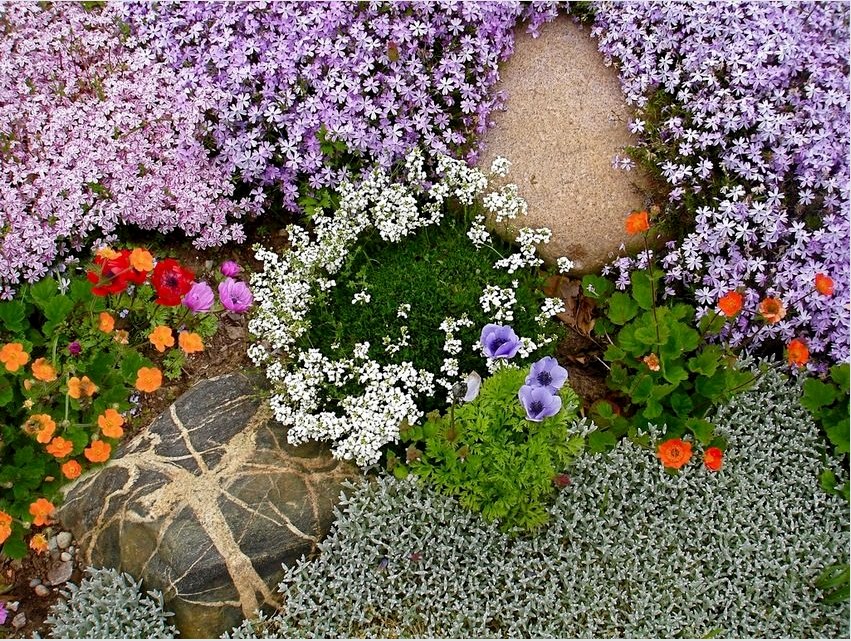A virágzó talajtakaró növények élénk színekkel gyönyörködtetik a szemet, és védő funkciót látnak el, erősítve a talajt
