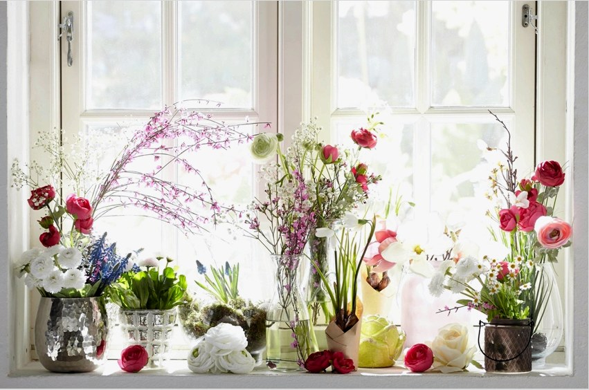 Élő dekoráció az ablakpárkányon a konyha, hűvös díszítik az ablakot függöny nélkül