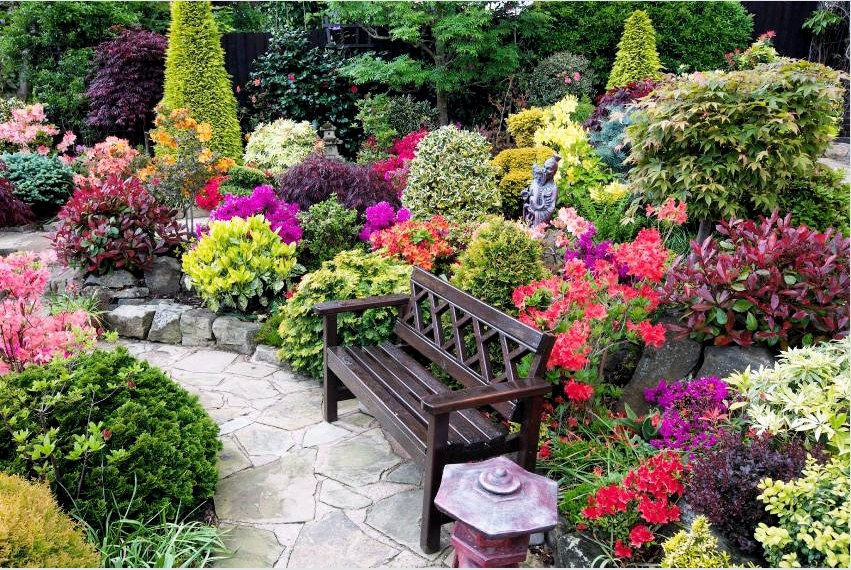 Az első kert stílusának szépsége és kifejeződése a fő elemetől - a növényeketől - függ