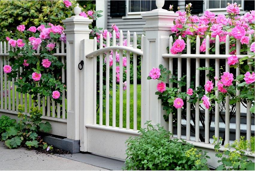A kerítés leginkább alacsonyan és ügyesen történik, ami csak az első kert stílusát és eredetiségét hangsúlyozza