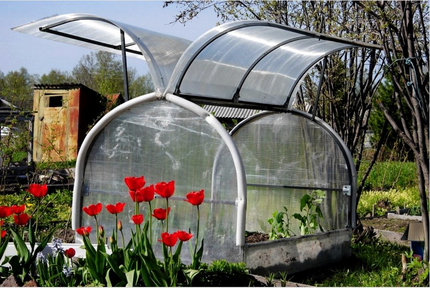 A Butterfly Greenhouse meglehetősen sokoldalú és tökéletes palánták, gyógynövények, retek, uborka stb. Termesztésére.