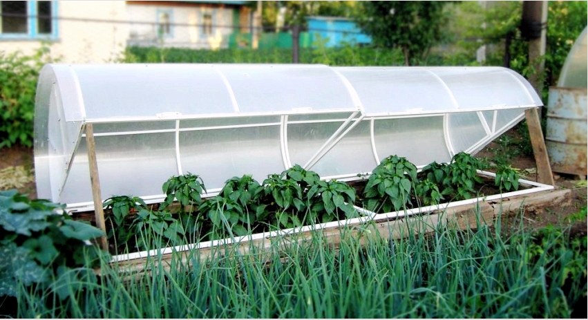 Üvegházak és üvegházak burkolata: optimális mikroklímája a növénynek