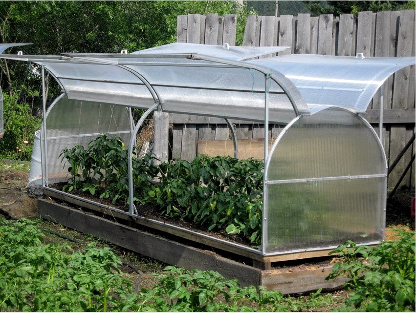 Egy másik népszerű üvegházhatást okozó lehetőség az uborka számára a pillangó üvegház.
