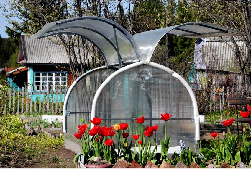 A Butterfly Greenhouse nagyon kényelmes kabrióval rendelkezik