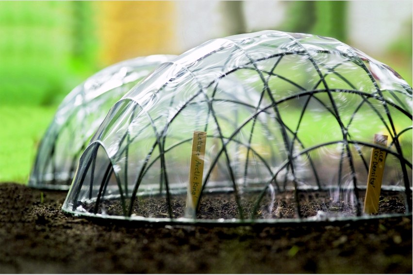 Mini üvegházak a vetőmagok nyílt talajban történő csírázásához huzal, film és építőszárító segítségével hozhatók létre a polietilén rögzítéséhez