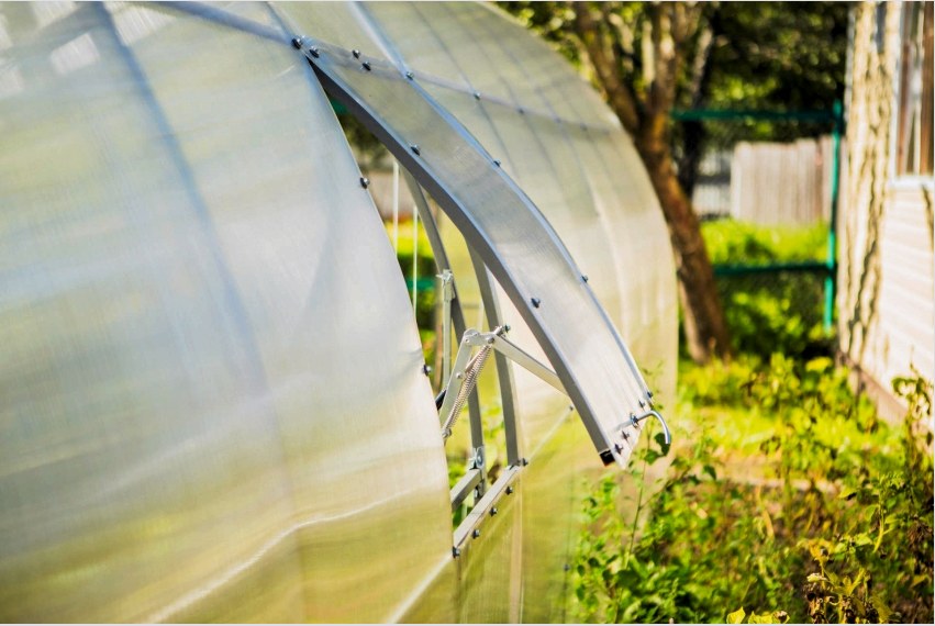 A helyes számítások mellett az üvegház kialakítása nemcsak az ablakleveleket, hanem a kis növények polcait is magában foglalhatja