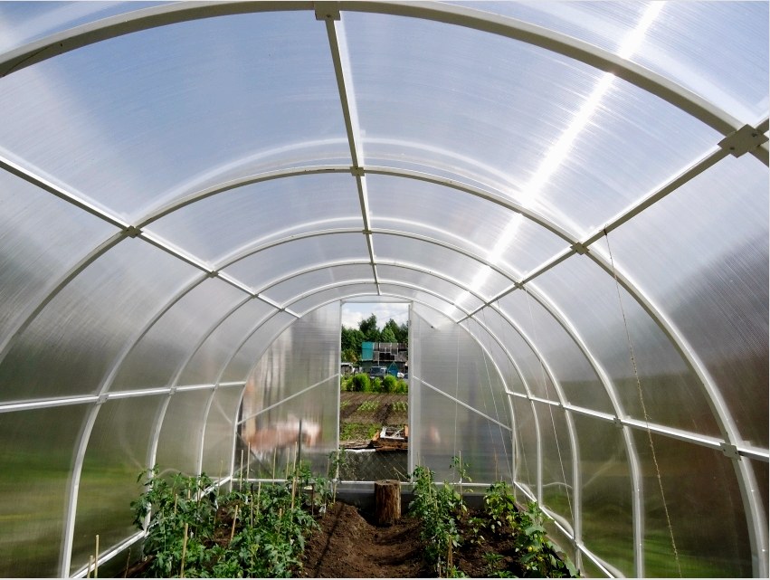Az üvegház megfelelő karbantartása nemcsak a növényeket védi a káros baktériumoktól, hanem meghosszabbítja a szerkezet élettartamát is