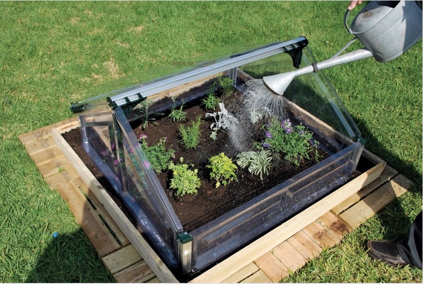 Nyílt polikarbonát üvegházakban kényelmes kis növények, például illatos gyógynövények, paprika vagy eper termesztése.