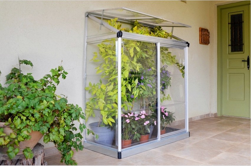 Az üvegház felszerelése előtt meg kell fontolni annak helyét, hogy a növények elegendő napfényt és hőt kapjanak