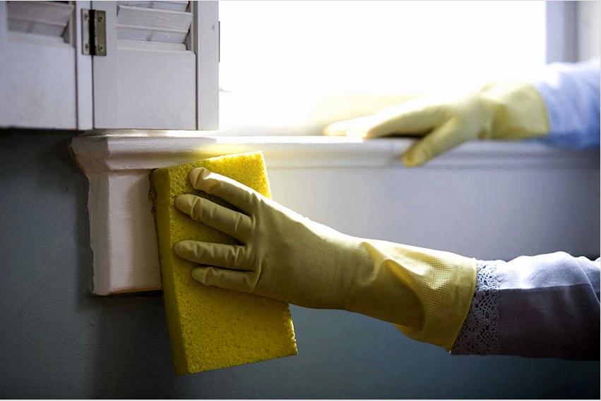 Annak érdekében, hogy az ablakpárkány tiszta és vonzó maradjon, elegendő egy nedves szivaccsal feldolgozni, szokásos mosószerekkel.