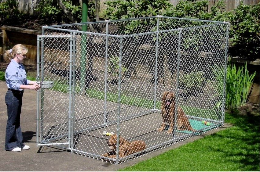 A kutya szabadban tartásához nyitott vagy zárt tartási helyet kell építeni, amely elegendő területtel rendelkezik az állat szabad mozgásához.