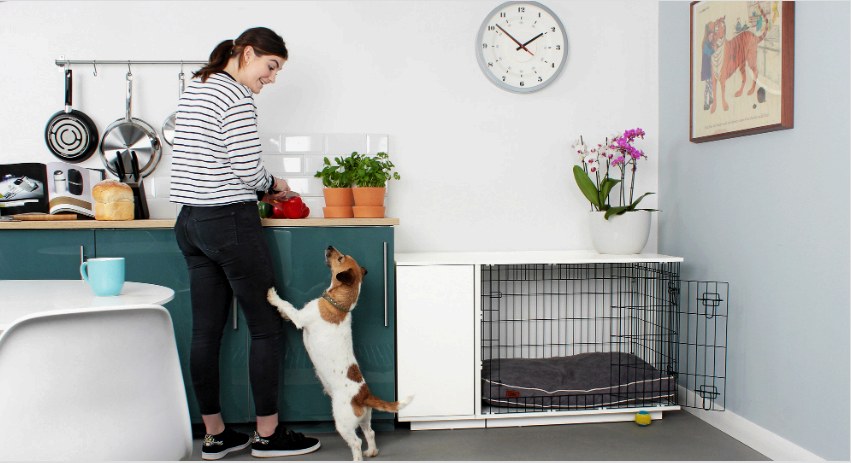 Aviary kutyának egy apartmanban: hogyan lehet kényelmet teremteni egy háziállat számára