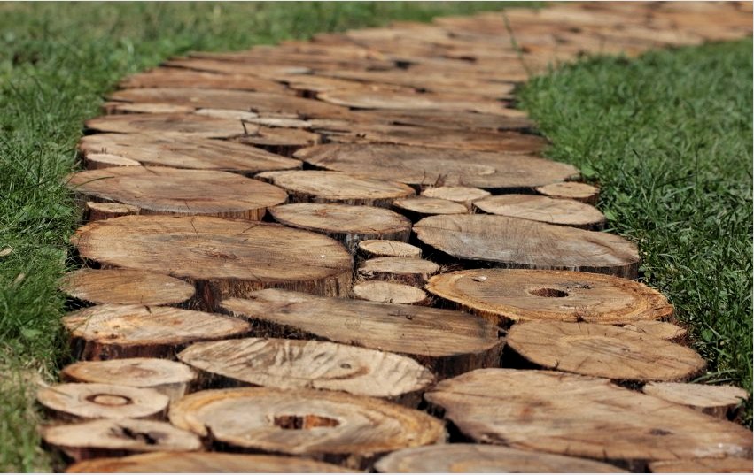 Házi készítésű fa csonkot sétány