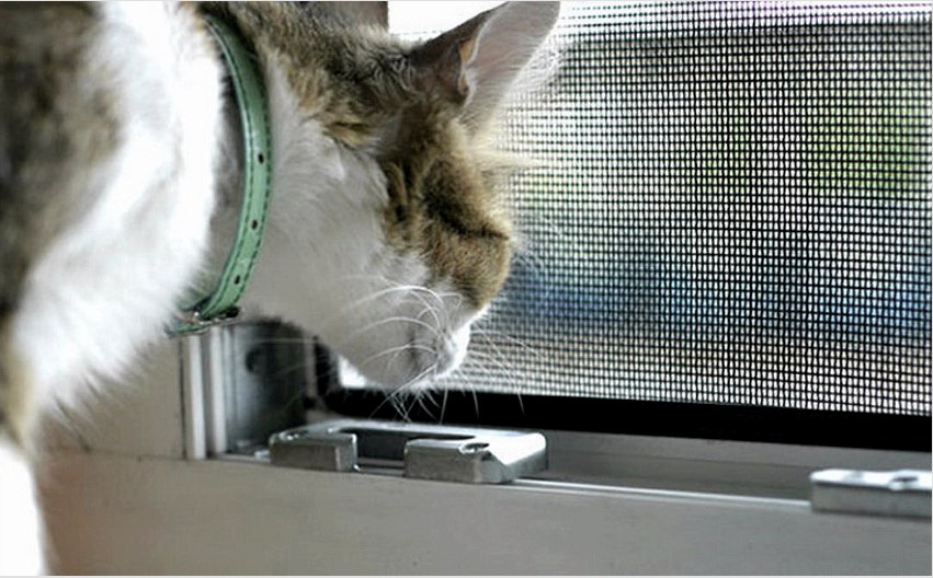 Ha macska van a házban, akkor tanácsos telepíteni egy szúnyoghálót, amely ellenáll a sérüléseknek és megtartja súlyát