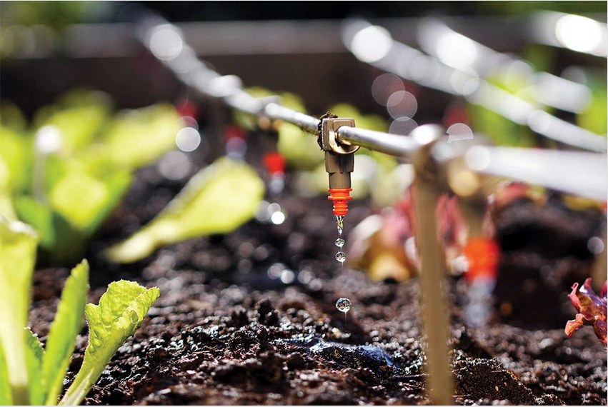 A csepp öntözés az egyik legnépszerűbb módszer a virágágyások és üvegházak öntözésére