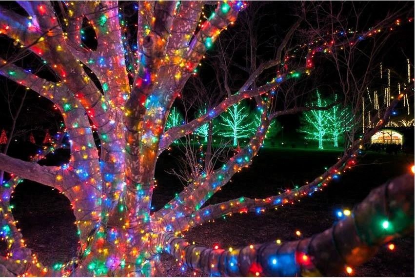 A LED-es girlandokkal díszített fák látványosak és ünnepélyesek