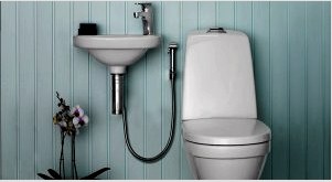 Bidet-WC: kényelmes eszköz a személyes higiéniához