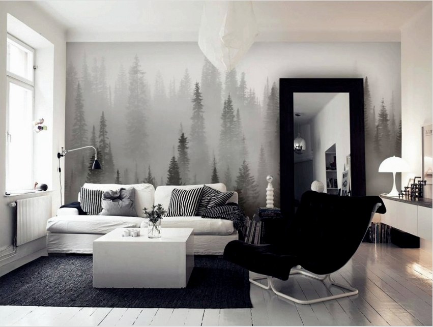 A fekete-fehér fotó háttérképek nagyon népszerűek a modern belsőépítészetben.