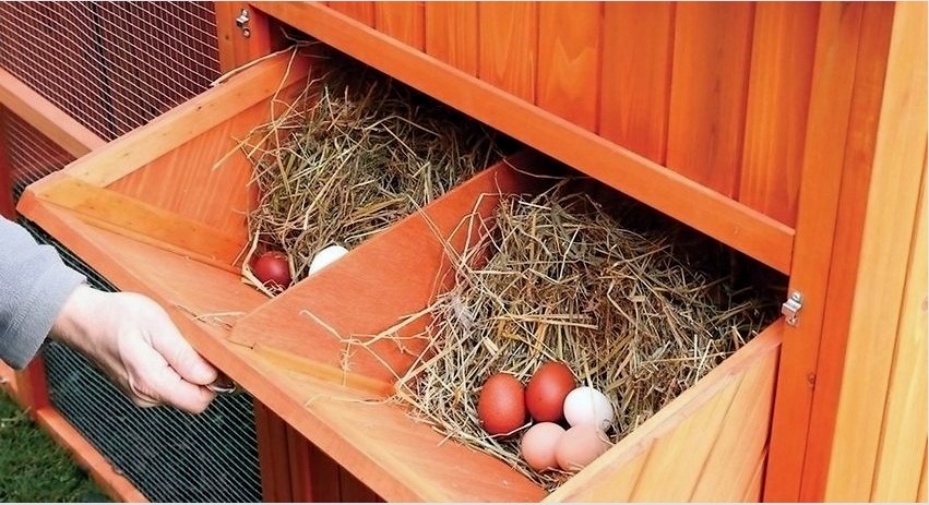 „Csináld magad” fészkek tojótyúkok számára: fotók, méretek, tippek