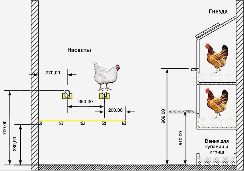 A csirke elrendezése az optimális méretű, a süllők és fészek elhelyezkedéséhez