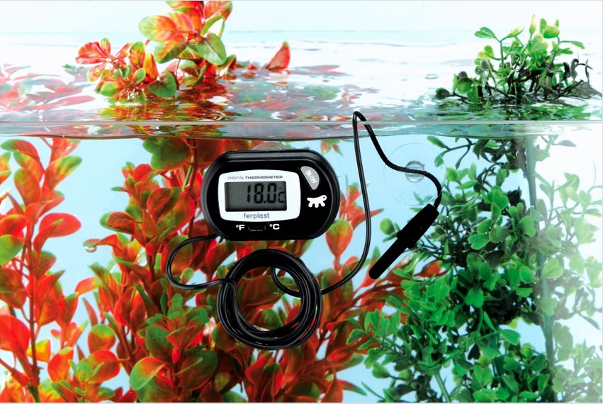 Az akváriumban lévő víz hőmérsékletének mérésére gyakran távoli érzékelővel ellátott elektronikus hőmérőket használnak