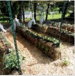 Ágyak a lusta számára: fotók és ajánlások a kert létrehozásához