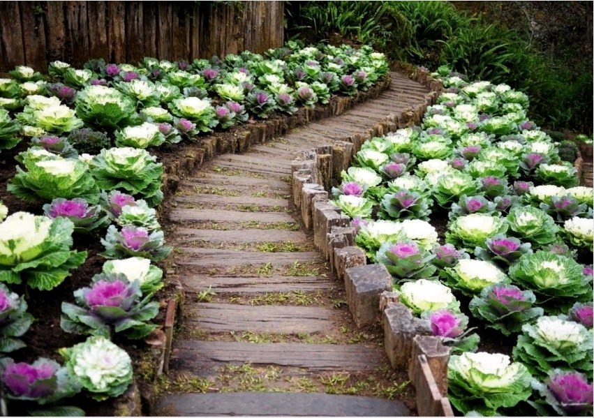 Egy gyönyörű ösvény a kertet nemcsak vonzóvá, hanem könnyű gondozássá teszi.