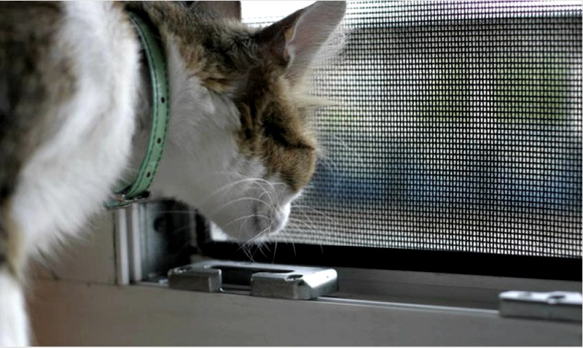 Vannak poliészterből készült macskák, amelyek szembősége 1,5x1,65 és 1x1,5 mm